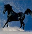 Алмазная мозаика 20*20 LM-K20210 ZT-PR-004581 - фото 115