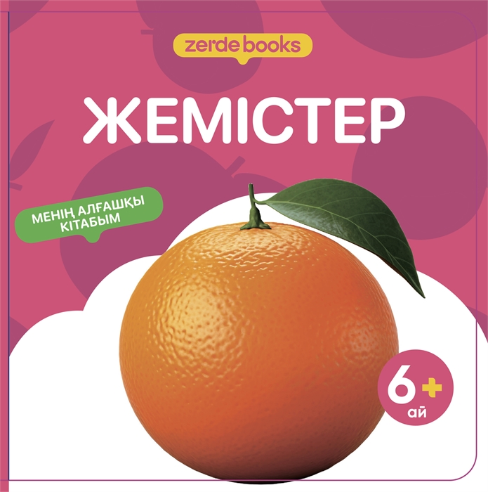ЖЕМІСТЕР ZT-KI-004347