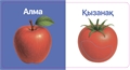 Жемістер-Көкөністер. Тактильді кітап ZT-KI-005377