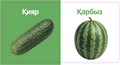 Жемістер-Көкөністер. Тактильді кітап ZT-KI-005377