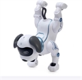 Робот Stunt dog на радиоуправлении ZT-TA-005235