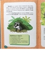 Читаем по очереди: Лесные секреты, 1 уровень сложности ZT-KI-003818 - фото 4808